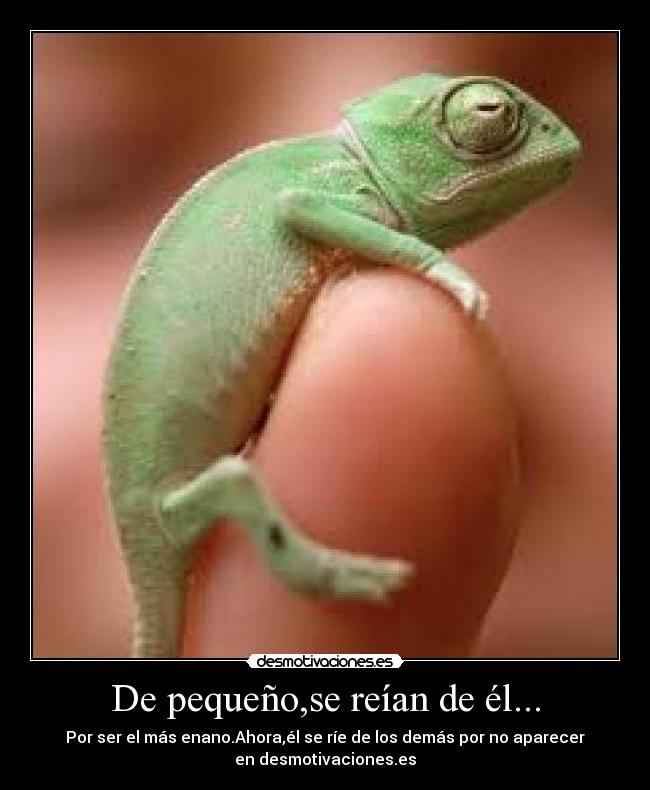 carteles animal desmotivaciones