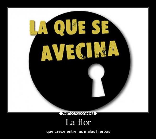 La flor - que crece entre las malas hierbas