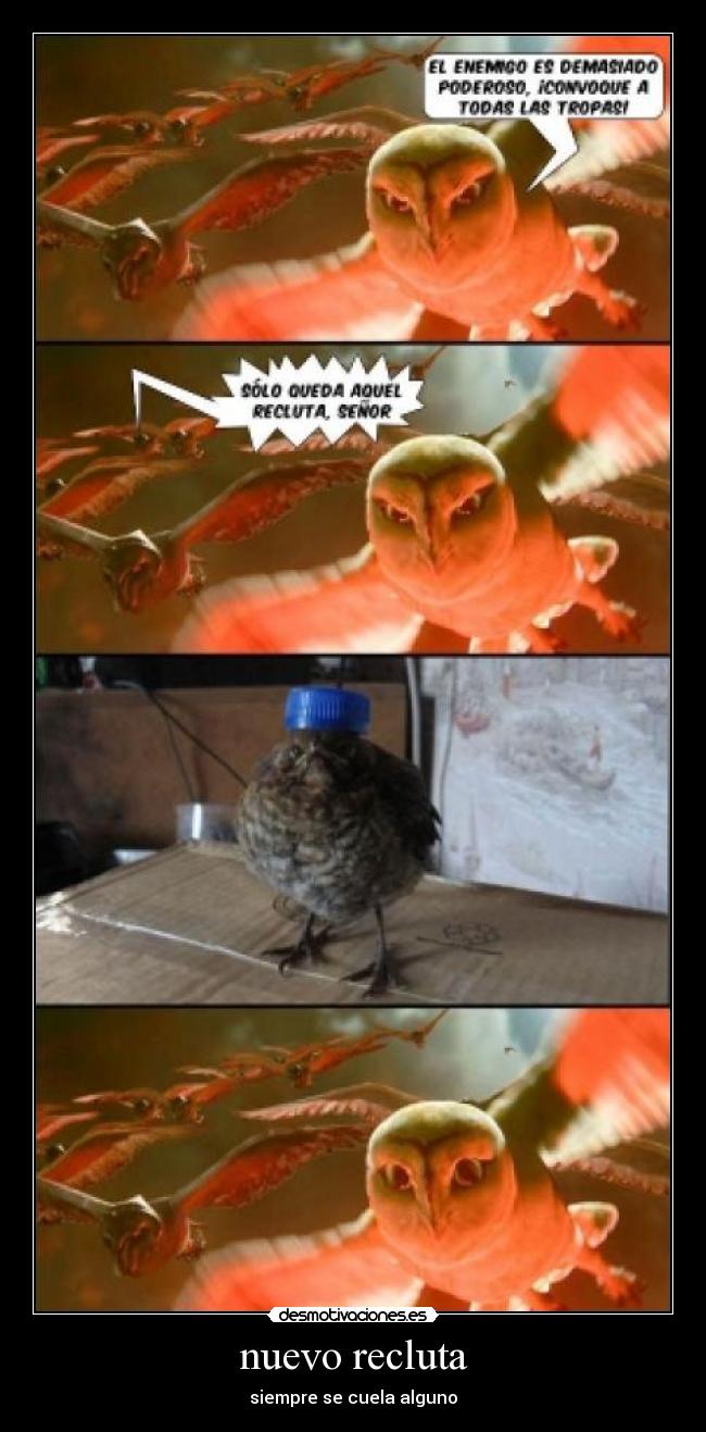 nuevo recluta - siempre se cuela alguno