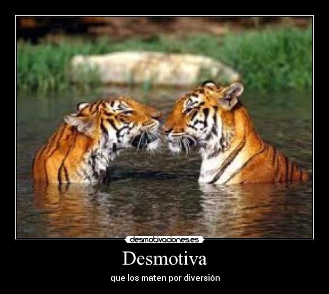 Desmotiva - 