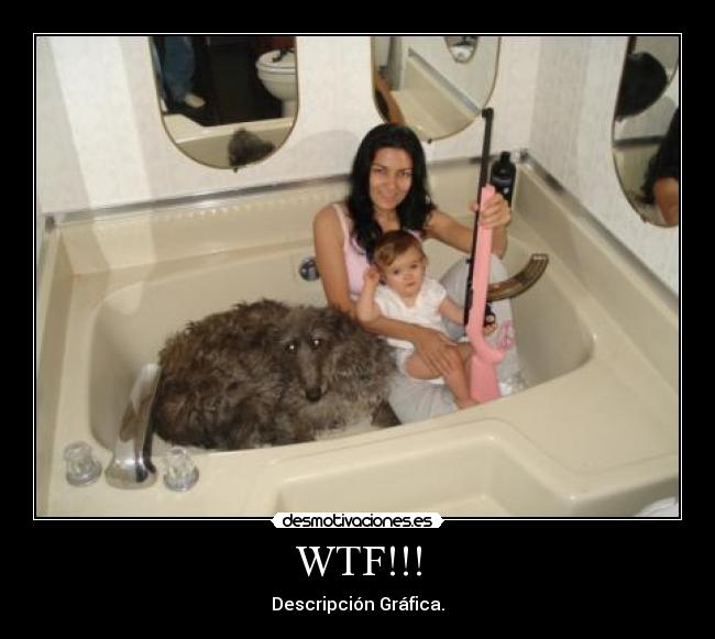 WTF!!! - 
