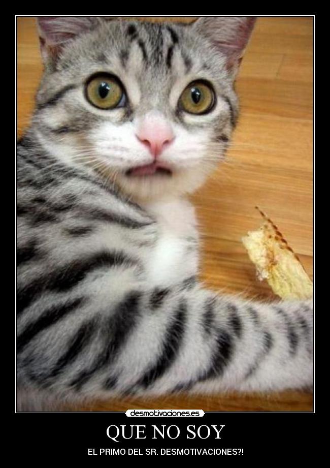 QUE NO SOY -