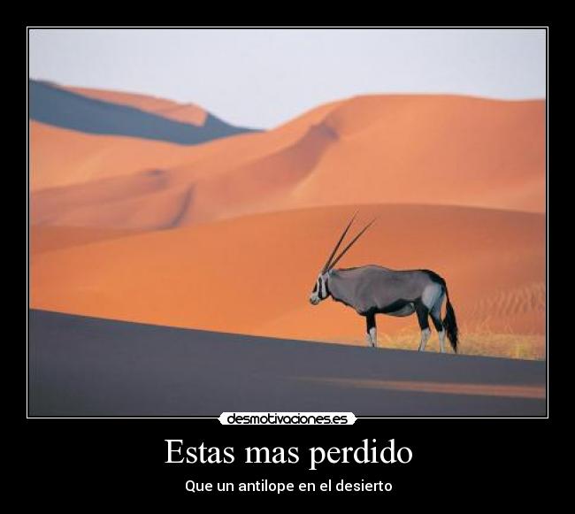 Estas mas perdido - Que un antilope en el desierto