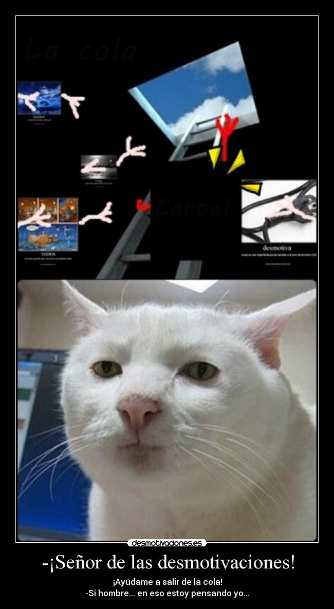 -¡Señor de las desmotivaciones! - 