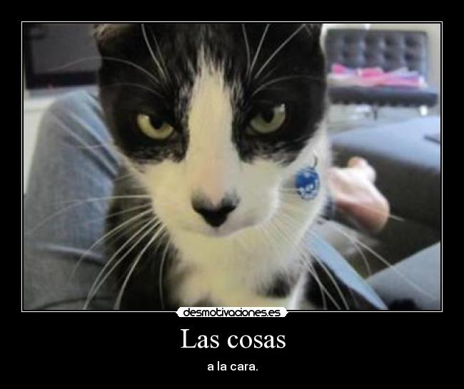 Las cosas - 