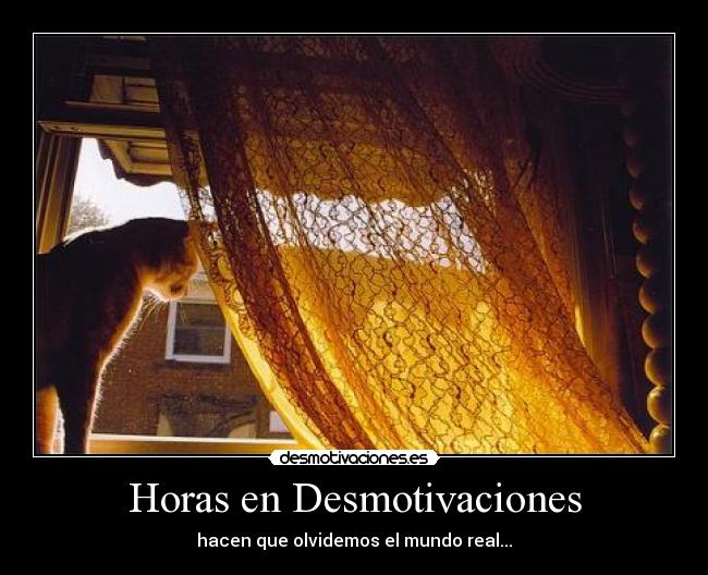 Horas en Desmotivaciones - hacen que olvidemos el mundo real...