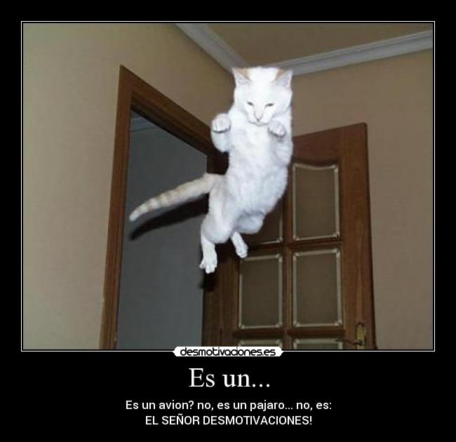 Es un... - Es un avion? no, es un pajaro... no, es:
EL SEÑOR DESMOTIVACIONES!
