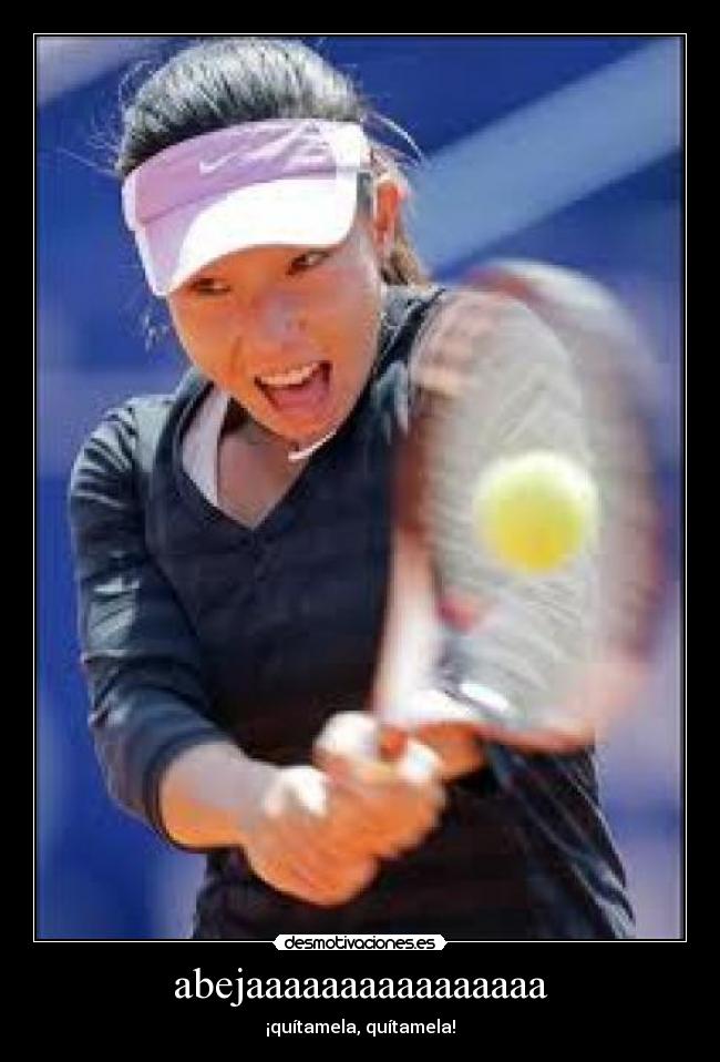 abejaaaaaaaaaaaaaaaa - 