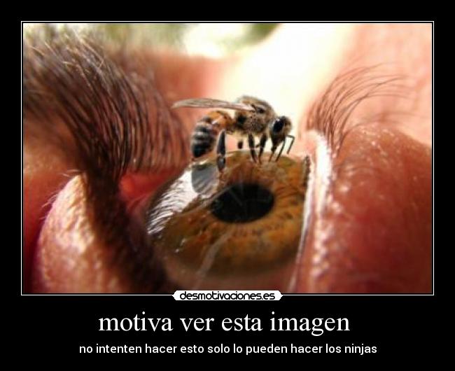 motiva ver esta imagen  - 