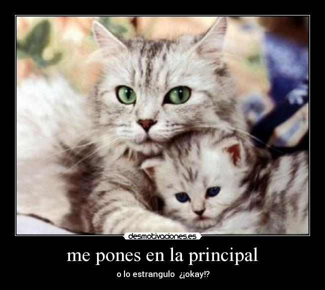 me pones en la principal - o lo estrangulo ¿¡okay!?