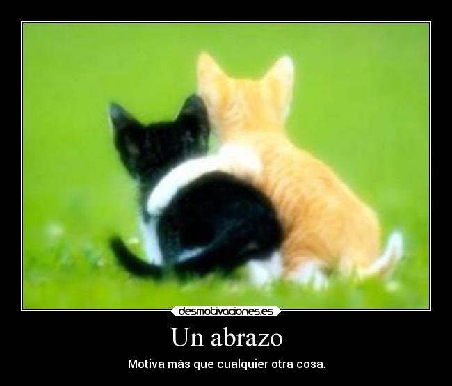 Un abrazo -
