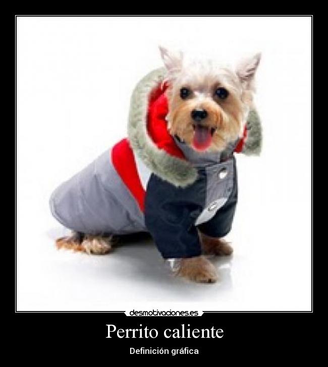 Perrito caliente - Definición gráfica