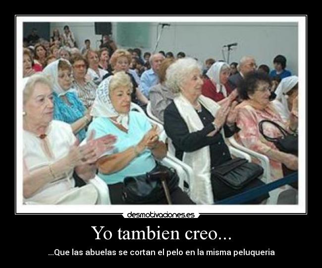 Yo tambien creo... - ...Que las abuelas se cortan el pelo en la misma peluqueria