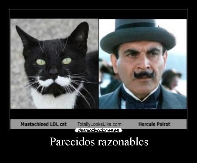 Parecidos razonables -