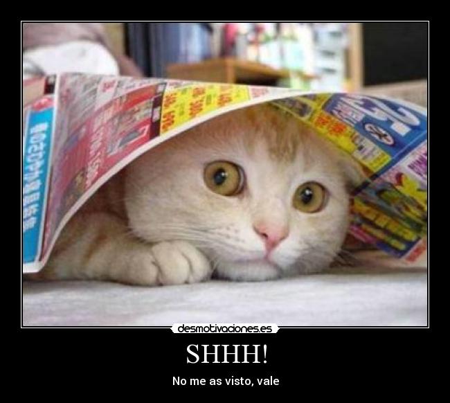SHHH! - No me as visto, vale