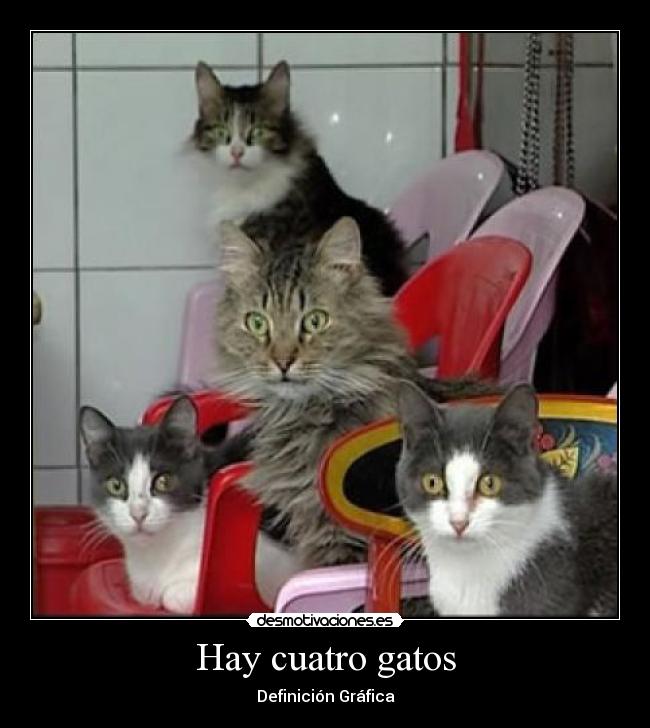 Hay cuatro gatos - Definición Gráfica
