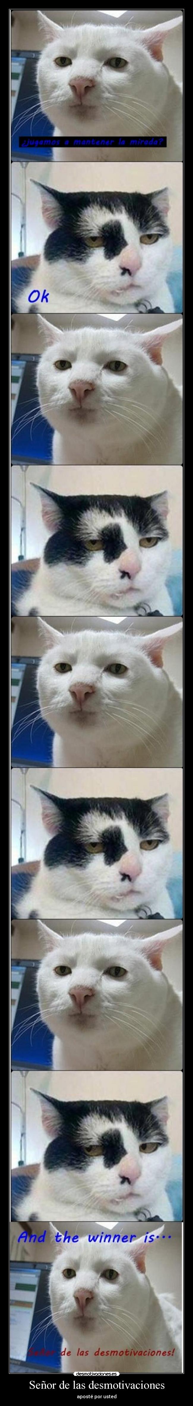 Señor de las desmotivaciones -