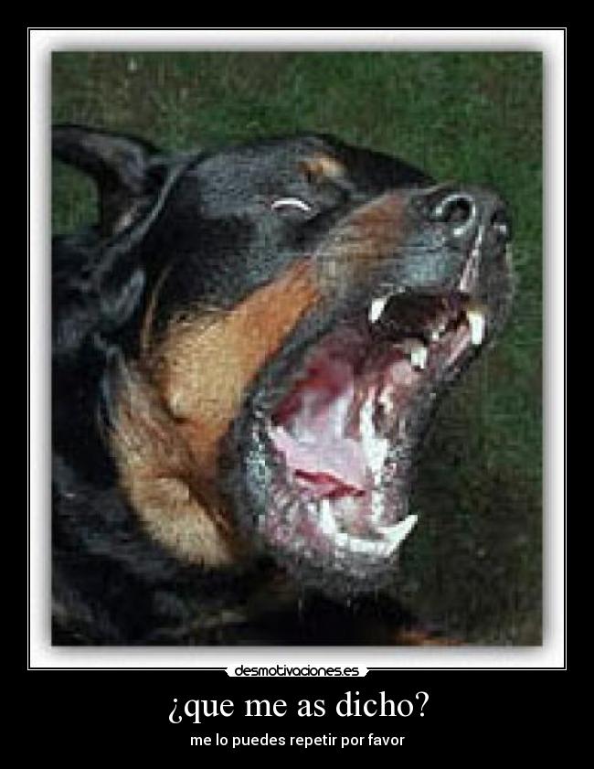 carteles kush2246 desmotivaciones