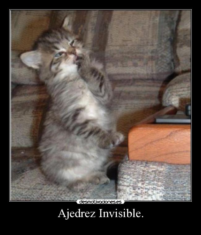 Ajedrez Invisible. - 