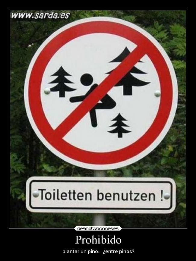 Prohibido - plantar un pino... ¿entre pinos?
