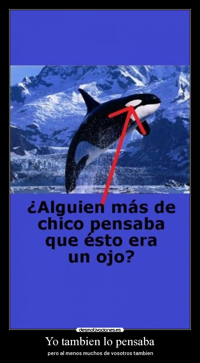 Yo tambien lo pensaba -