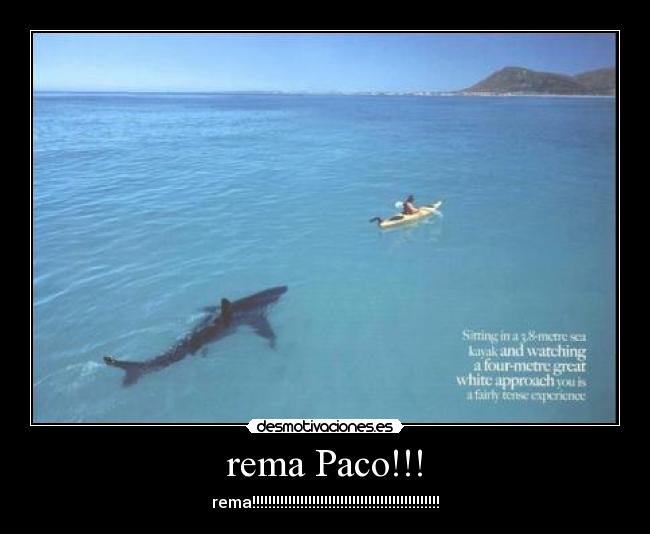 rema Paco!!! - rema!!!!!!!!!!!!!!!!!!!!!!!!!!!!!!!!!!!!!!!!!!!!!!!