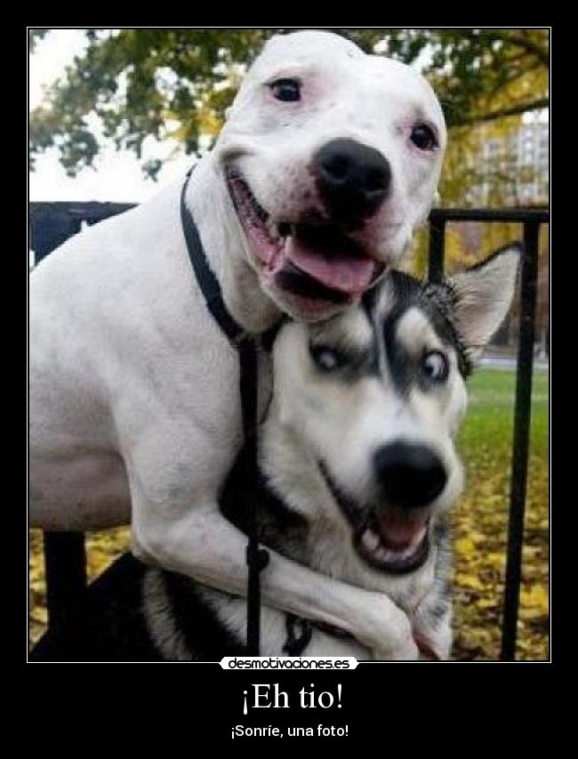 ¡Eh tio! - ¡Sonríe, una foto!