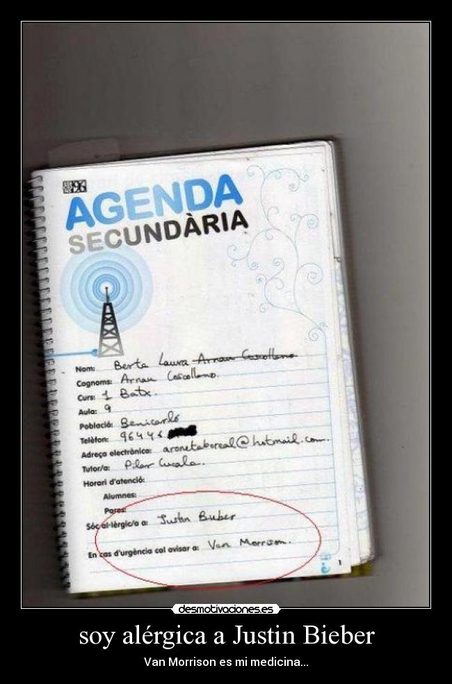 soy alérgica a Justin Bieber - Van Morrison es mi medicina...