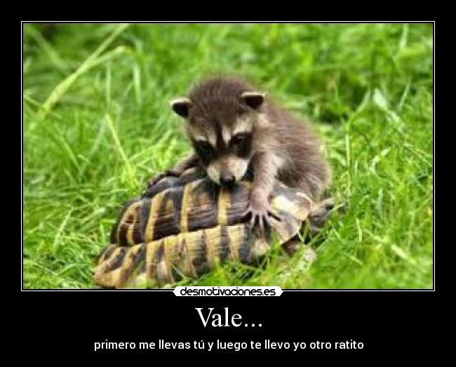 Vale... - 