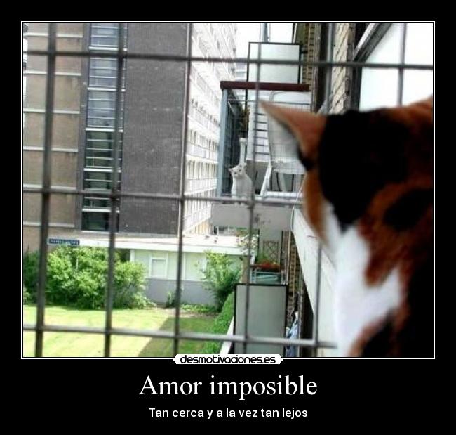 carteles amor imposible amor imposible cerca lejos g00n desmotivaciones