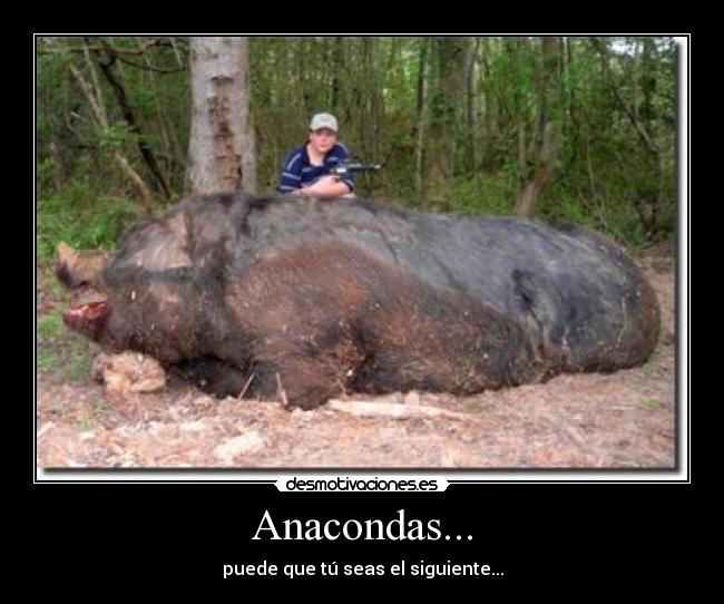 Anacondas... -