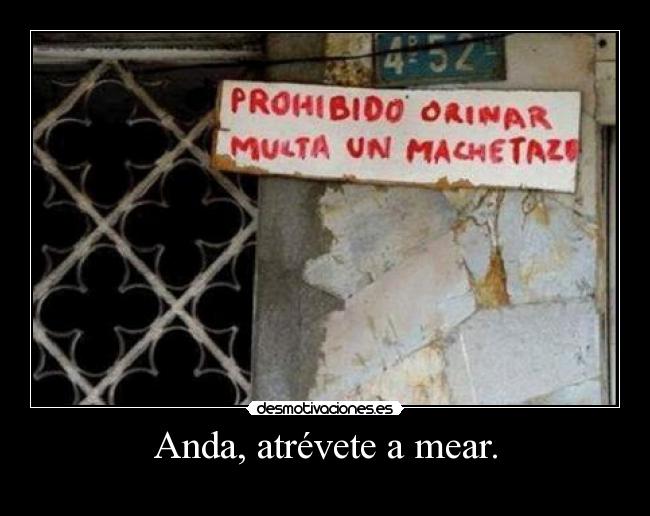 Anda, atrévete a mear. -