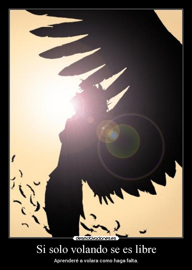 Si solo volando se es libre -