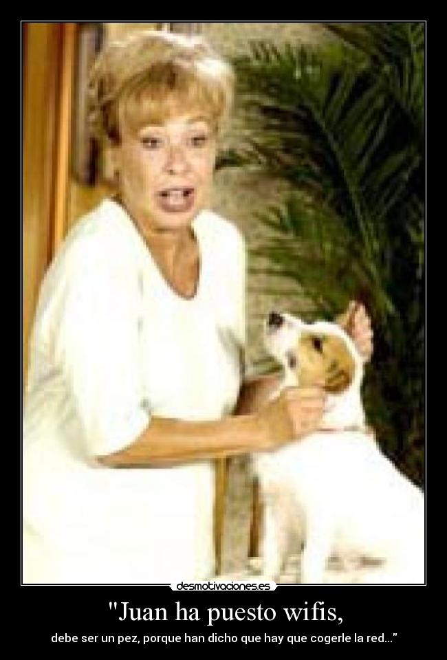 Juan ha puesto wifis, - debe ser un pez, porque han dicho que hay que cogerle la red...