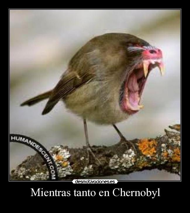 Mientras tanto en Chernobyl -