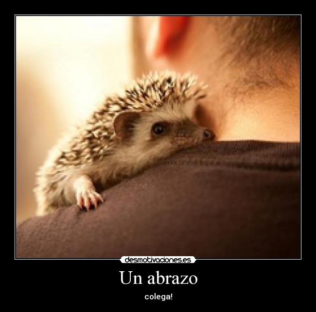 Un abrazo - colega!