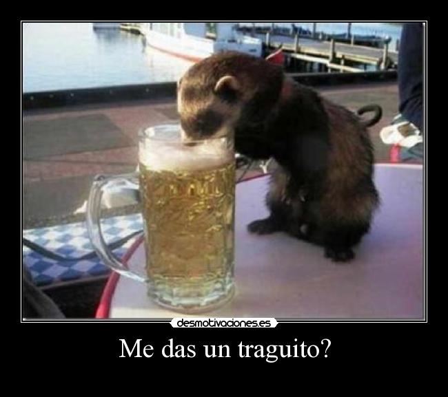 Me das un traguito? -