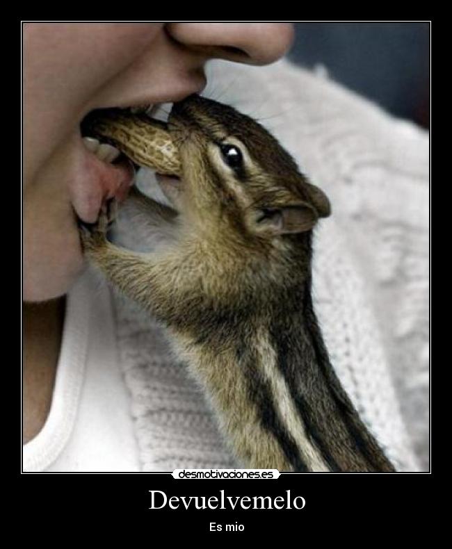 carteles ardillas desmotivaciones