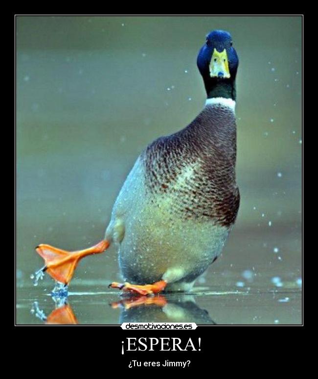 ¡ESPERA! -