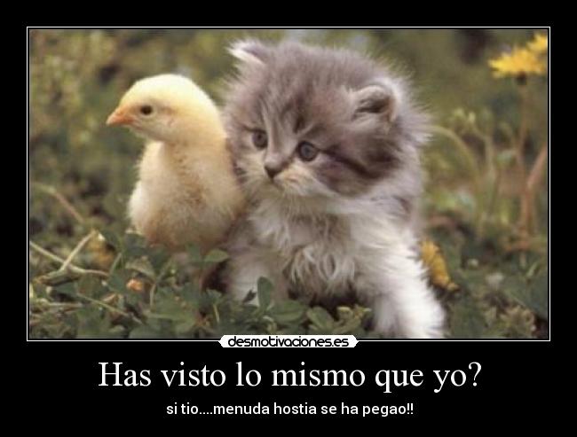 Has visto lo mismo que yo? - si tio....menuda hostia se ha pegao!!