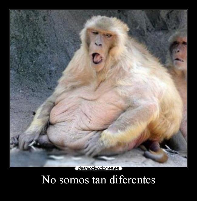 No somos tan diferentes -