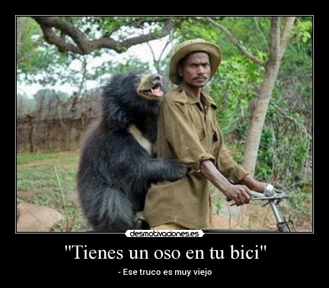 Tienes un oso en tu bici -