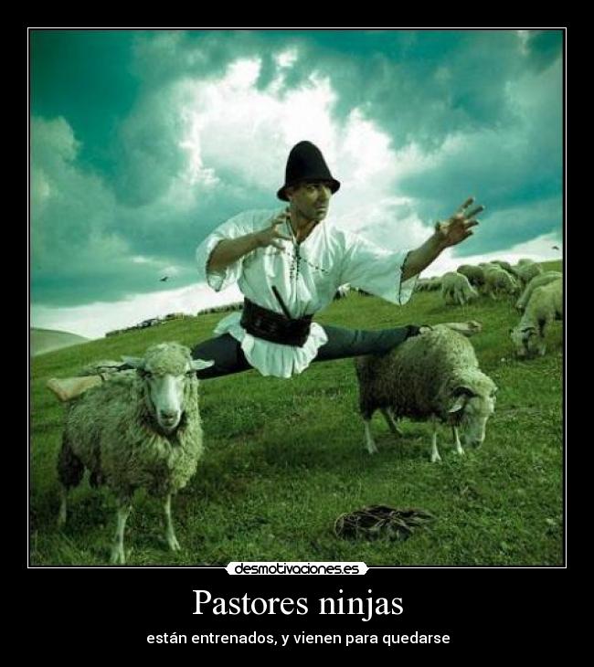 Pastores ninjas -