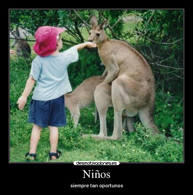 Niños -
