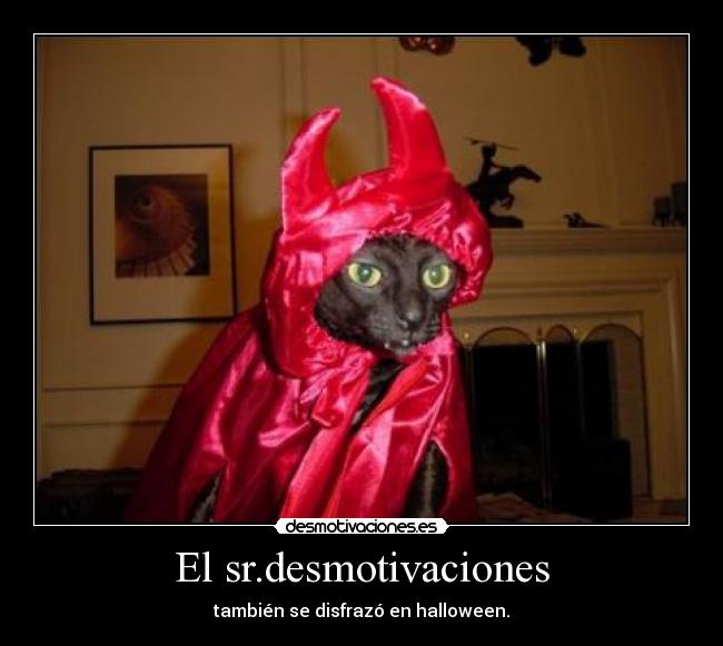 El sr.desmotivaciones - 