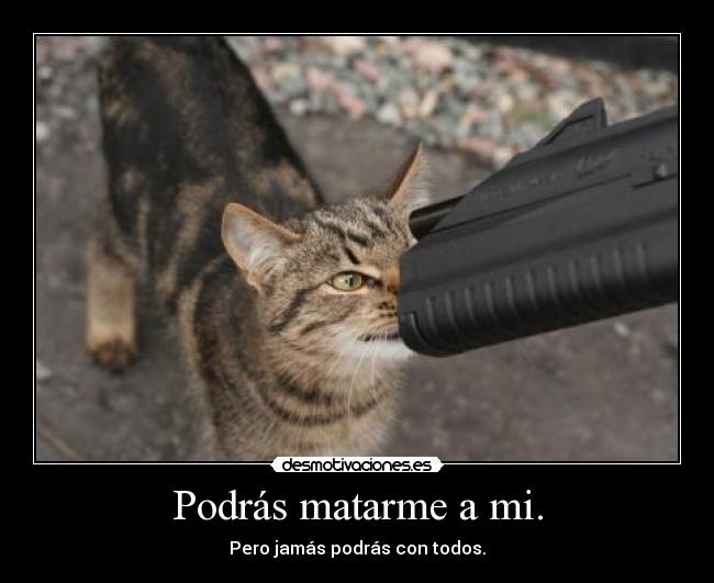 Podrás matarme a mi. - Pero jamás podrás con todos.