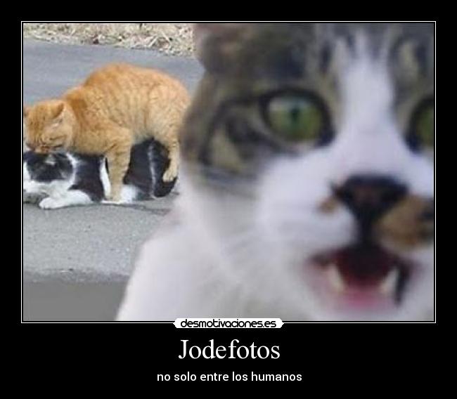 Jodefotos - 