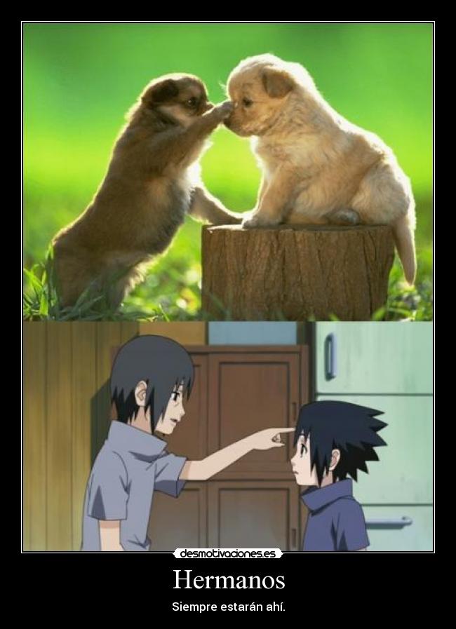 carteles shannay desmotivaciones