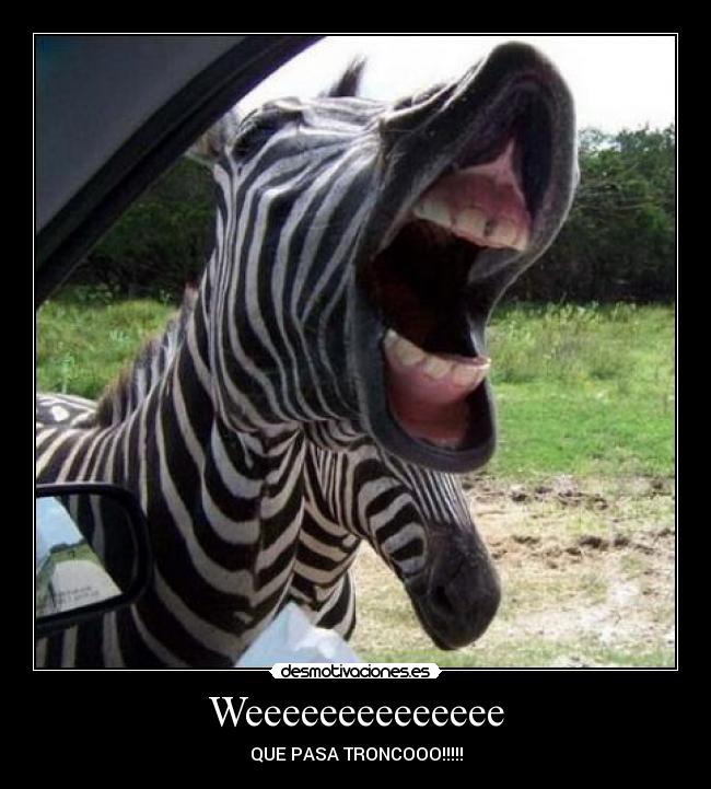 Weeeeeeeeeeeeee - QUE PASA TRONCOOO!!!!!