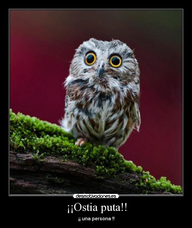 ¡¡Ostia puta!! - ¡¡ una persona !!